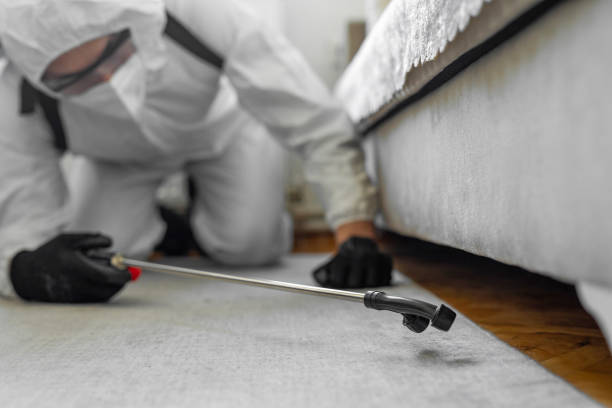 Professional Termite Control technician working in Gaylord, MI