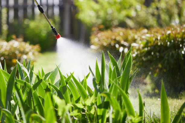 24/7 Emergency Termite Control experts in Gaylord, MI