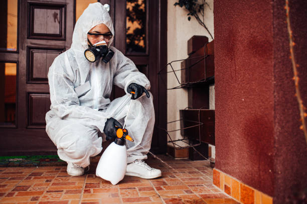 Reliable Termite Control contractor in Gaylord, MI by Nex Pest Control