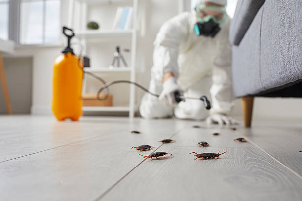 Trusted Fumigation Services service in Gaylord, MI - Nex Pest Control